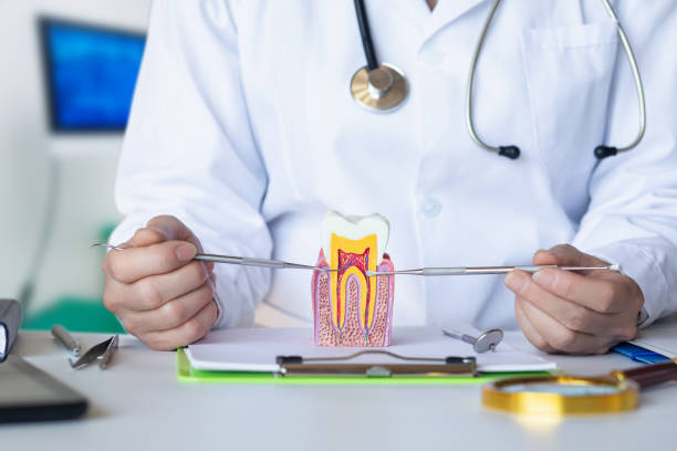 Best Emergency Dental Care for Abscessed Tooth in Terrebonne, OR